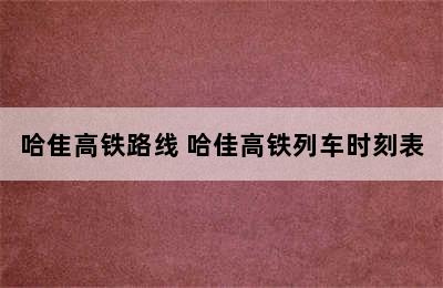 哈隹高铁路线 哈佳高铁列车时刻表